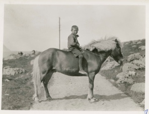 Image: Boy on horseback